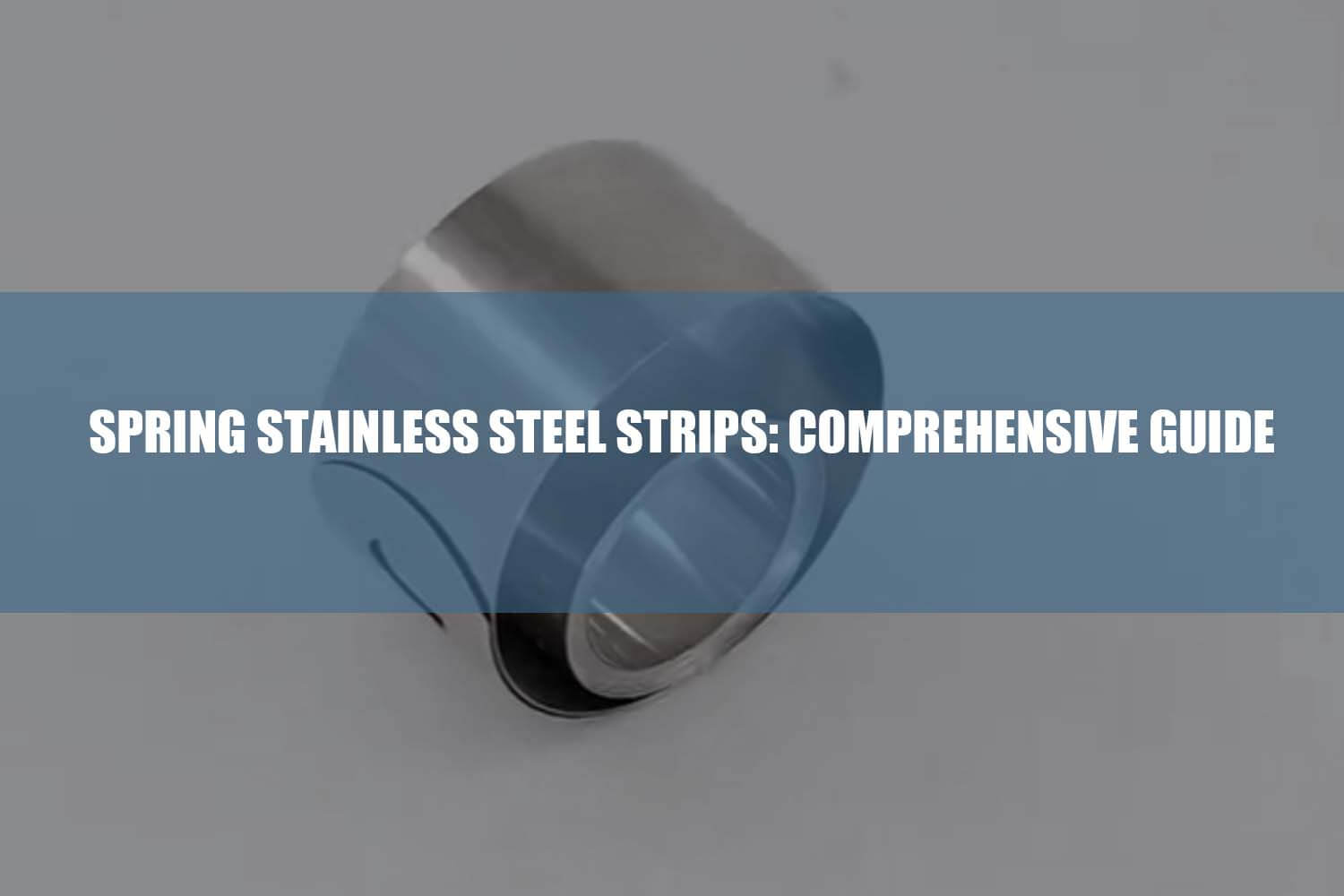 spring stainless steel strips guide 