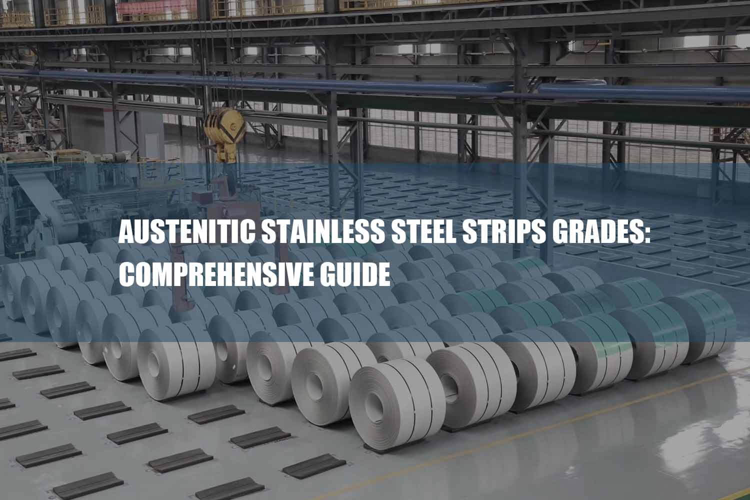 austenitic stainless steel strips guide